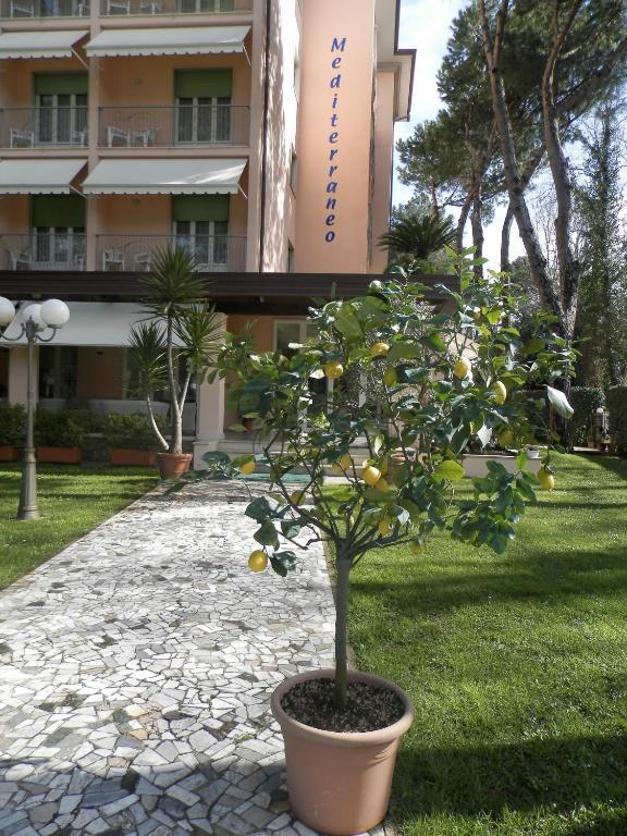 Hotel Mediterraneo Marina di Pietrasanta Exteriér fotografie